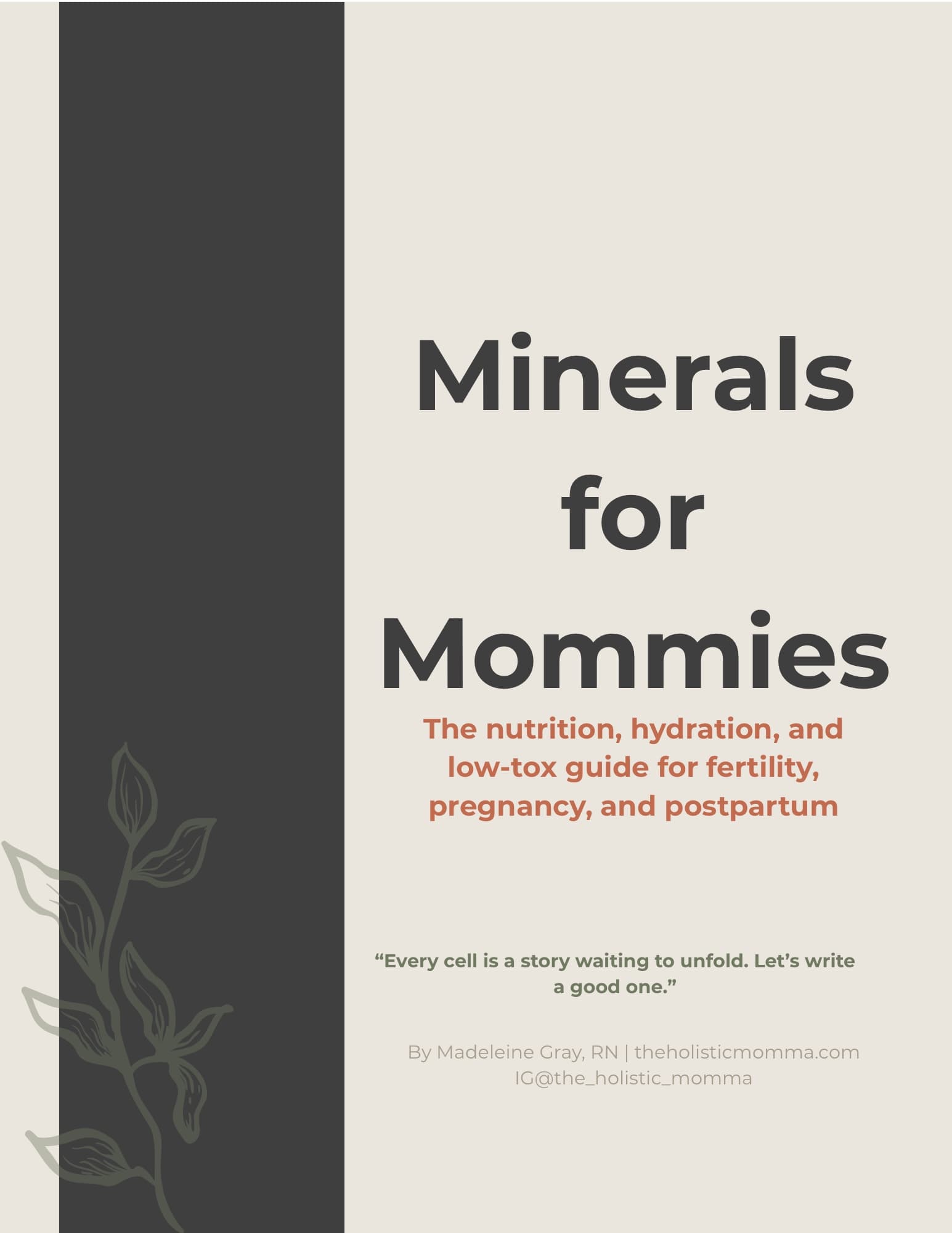 The Minerals for Mommies guide cover